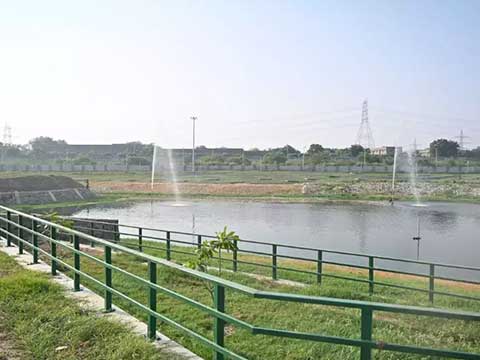 Lake Beautification Services in Pune, PCMC (Pimpri Chinchwad)