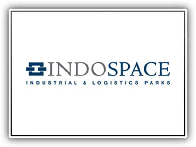 logo 12