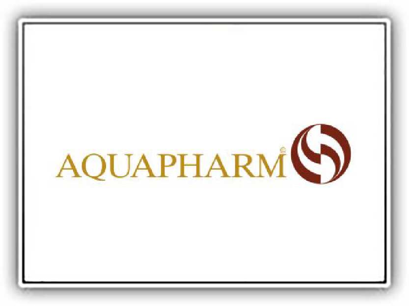 logo 13
