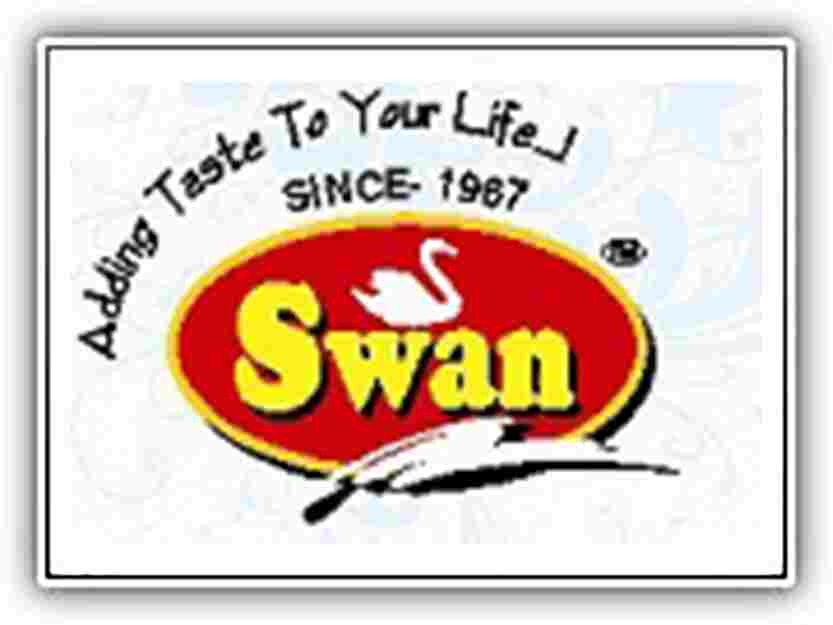 logo 8