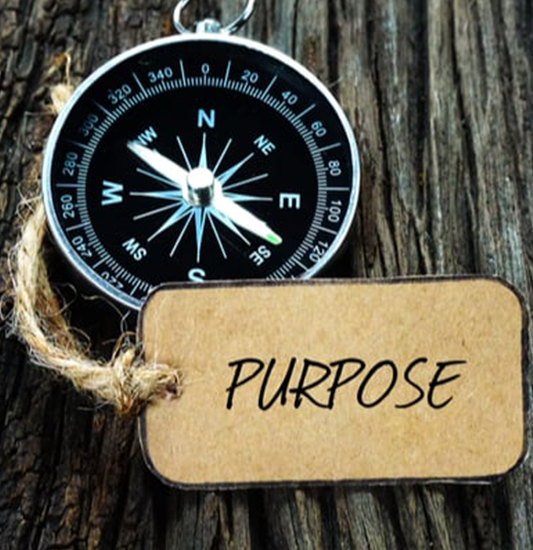 Our Purpose