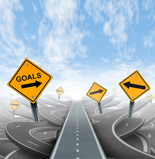 Our Goals