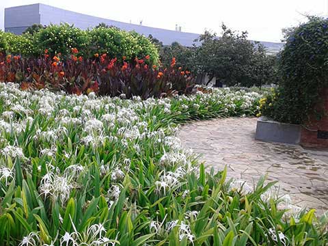 Gallery Image 11