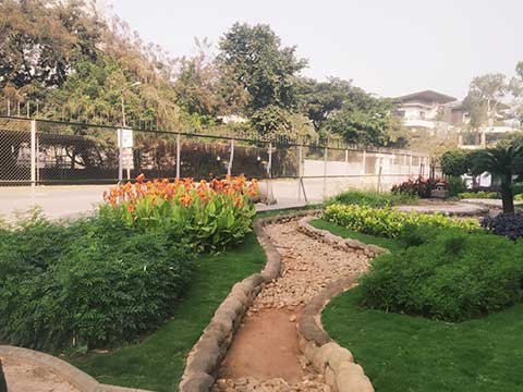 Landscape & Gardening