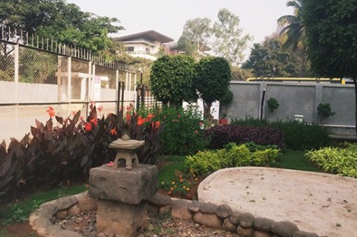 Landscape Architects