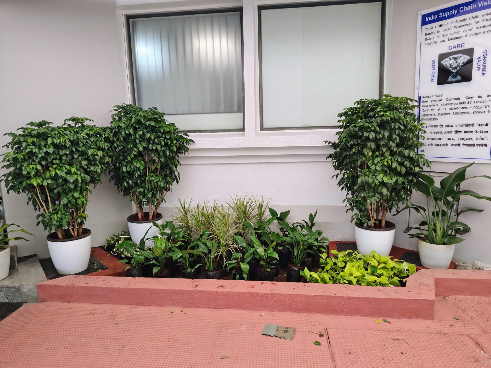 Gallery Image 62