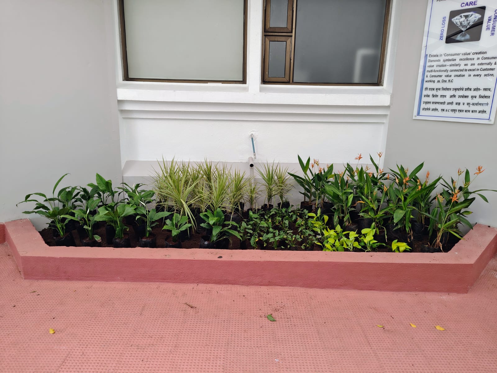 Gallery Image 64