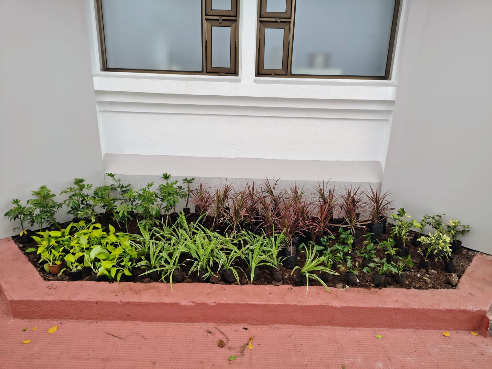 Gallery Image 65