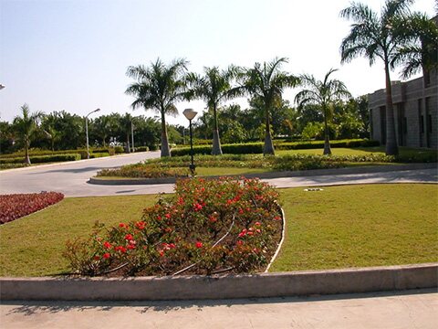 Landscape Design for College in Pune, Mumbai