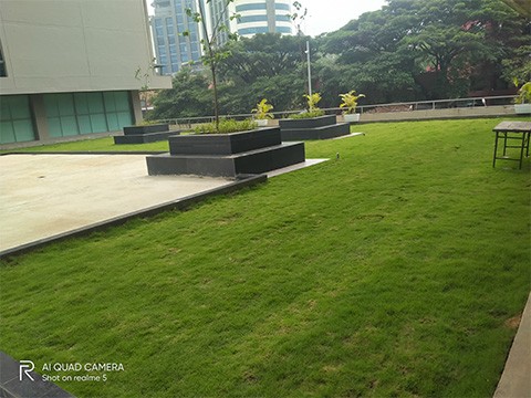 Landscaping for Colleges and universities in Pune Mumbai India