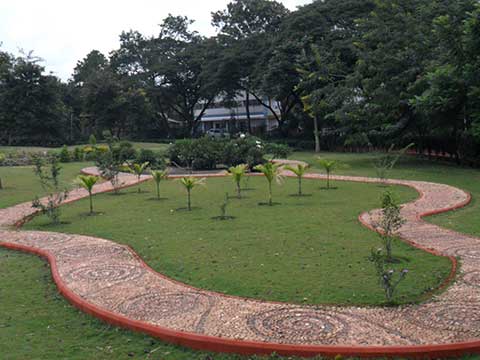 Landscaping For Farmhouse in Pune Mumbai