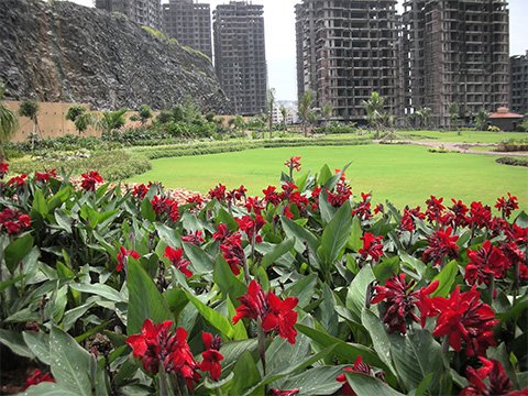 Landscaping For Industries in Pune Mumbai