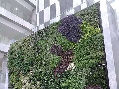 Rooftop Landscaping in Pune Mumbai India