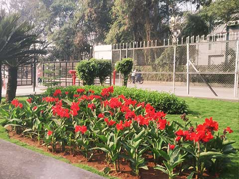 Landscape Development