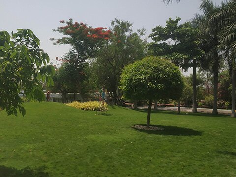Landscape Irrigation Services