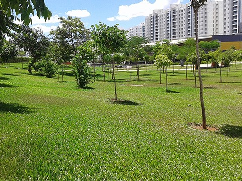 Landscape Management Services